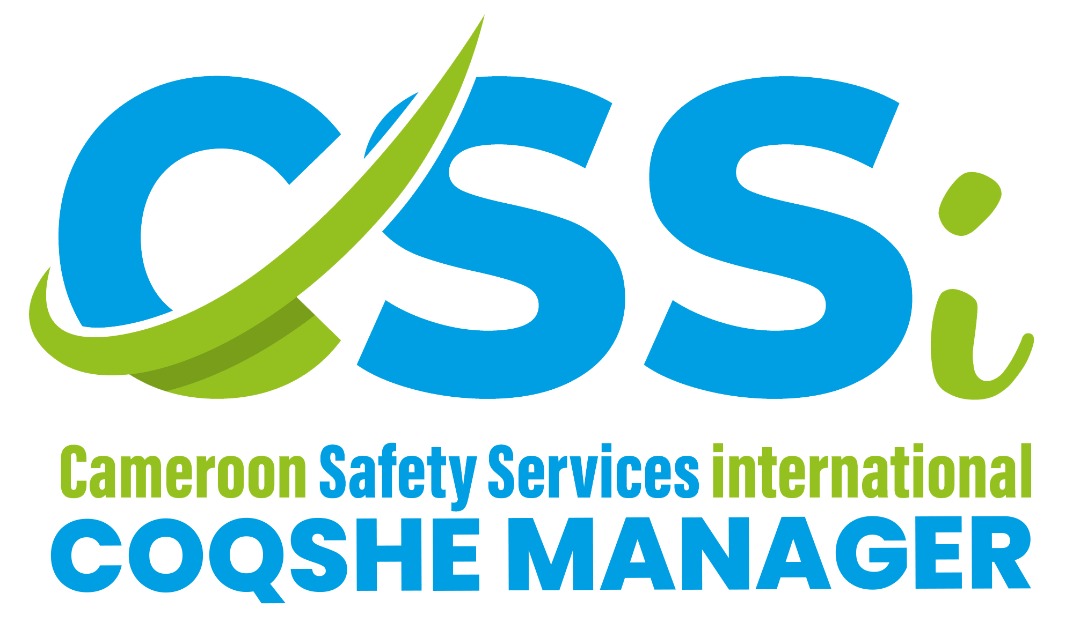 What is a COQSHE manager  and QHSE management system can do for a Company.